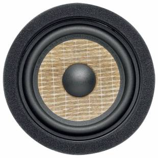Focal IS MBZ100 V2