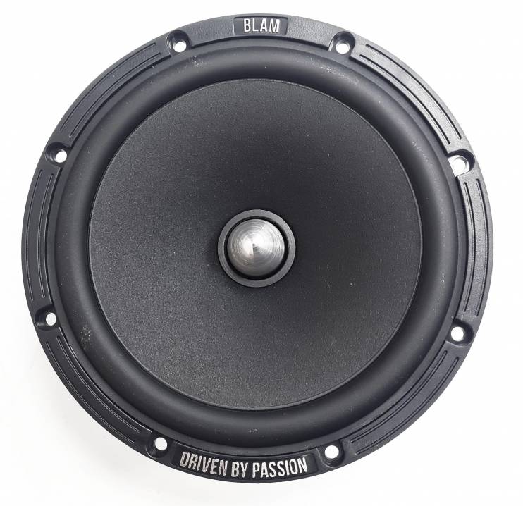BLAM W165R2