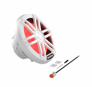 Rockford Fosgate M1D2-10